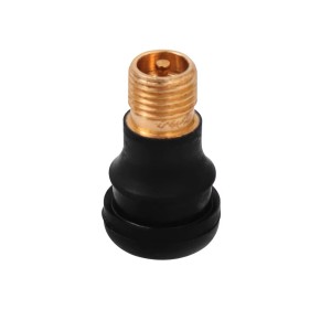 Вентиль для бескамерной шины (покрышки)